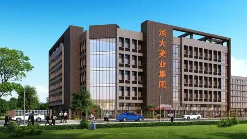 赛事版权分销体系里竞猜平台的位置变化